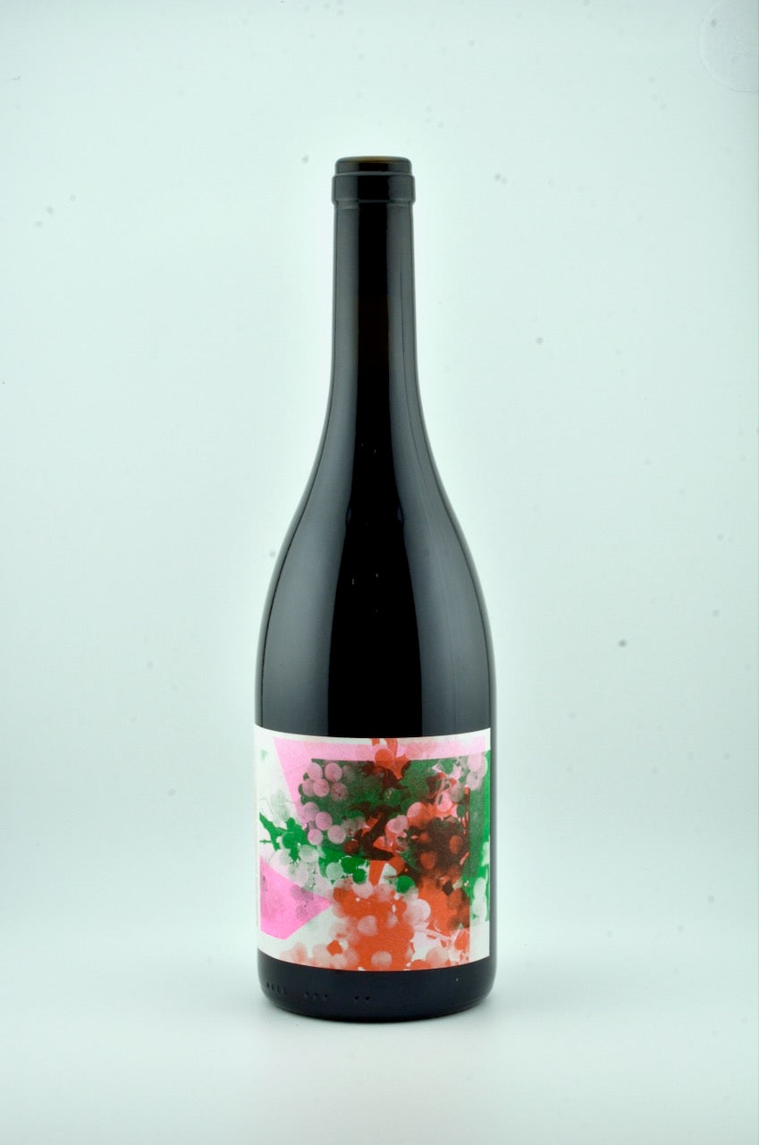 Pinot Noir Schlossberg Balgach