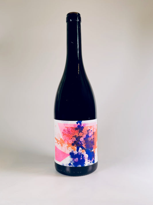 Pinot Noir Buechberg