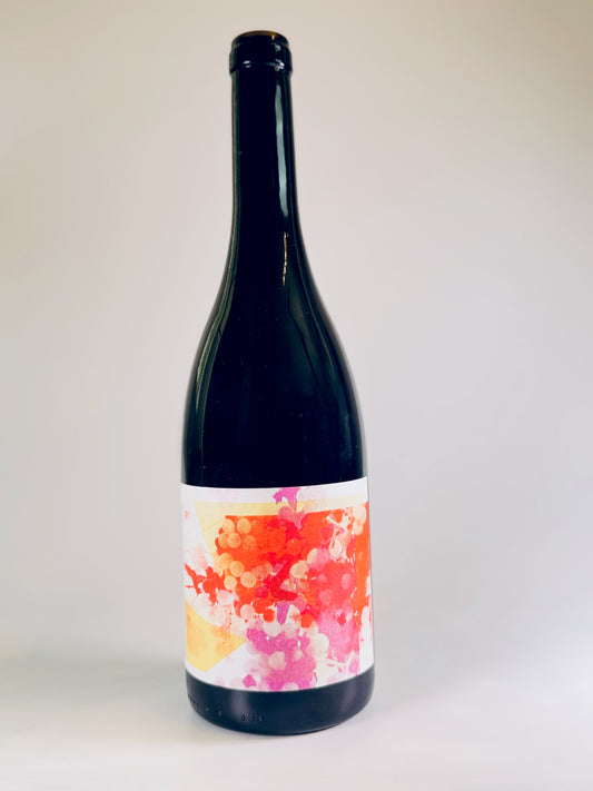 Pinot Noir Werdenberg