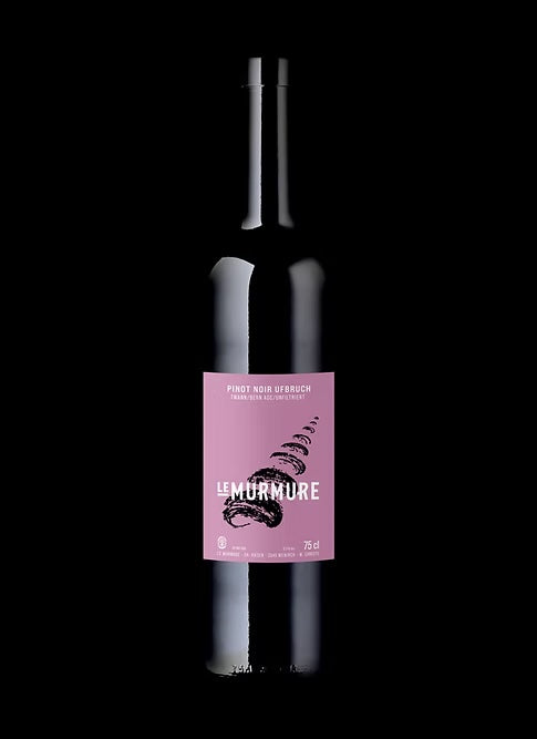 Pinot Noir Ufbruch