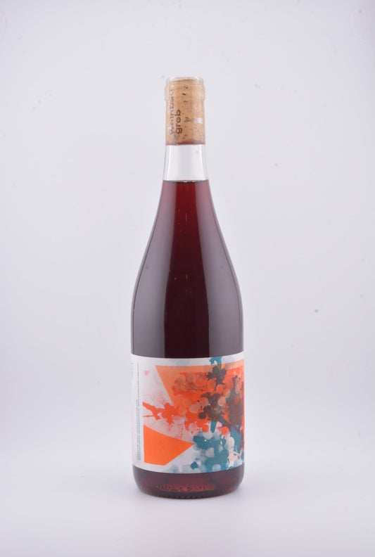 Pinot Noir Rebstein