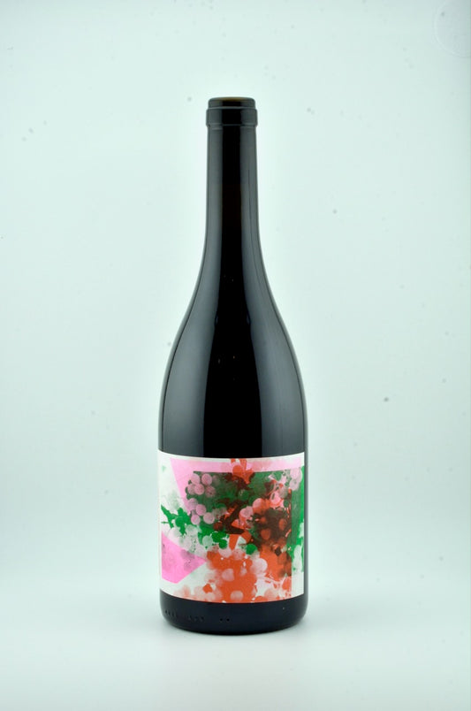Pinot Noir Schlossberg Balgach