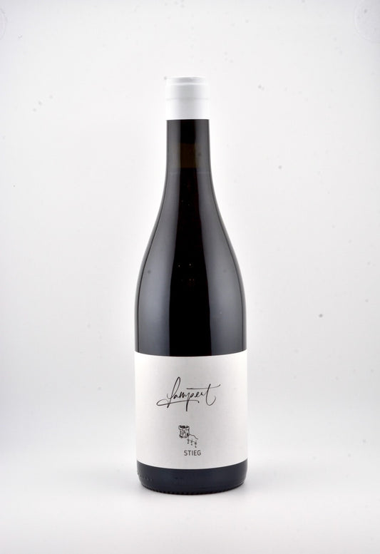 Pinot Noir "Stieg"