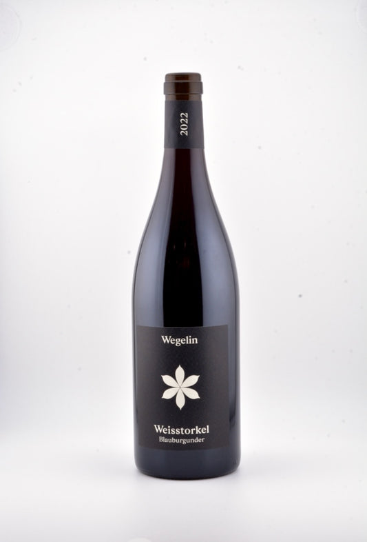 Weisstorkel Blauburgunder
